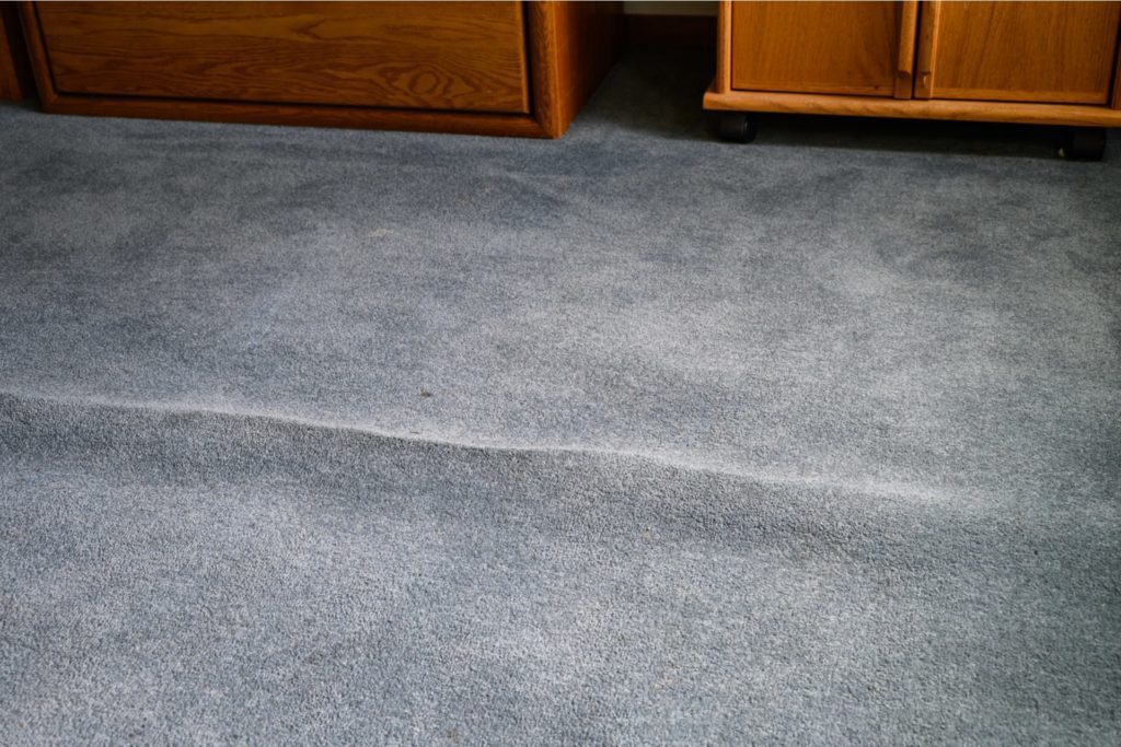 do-i-need-to-replace-carpets-after-water-damage